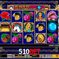 510bet Rio de Janeiro - Bonus Terms